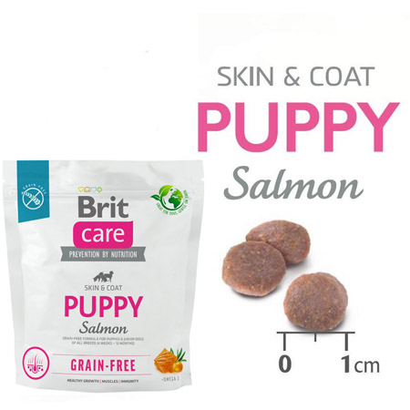 Brit Care Grain Free Puppy foto
